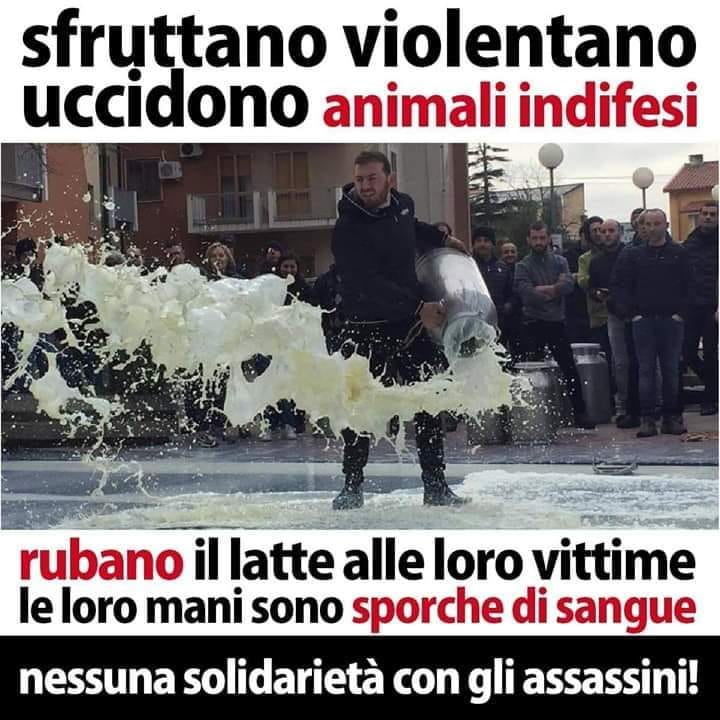 L’impari lotta tra pastori sardi e vegani article-post