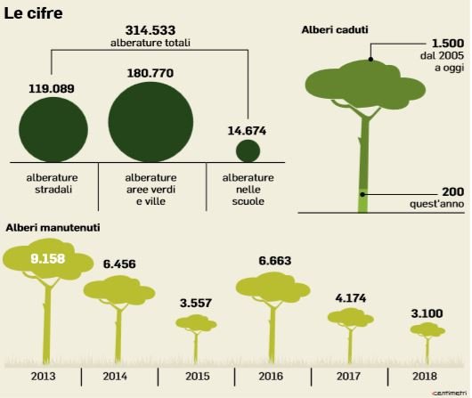 60mila alberi roma