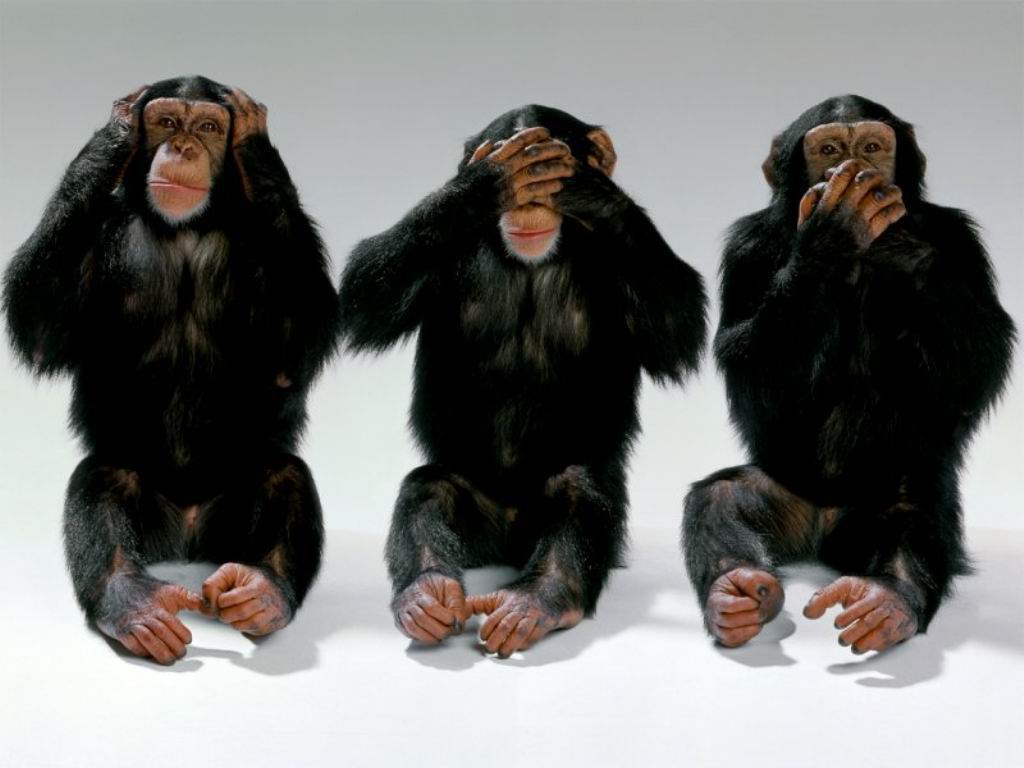 I giudici decidono che Conte, Di Maio e Toninelli sono inattendibili article-post