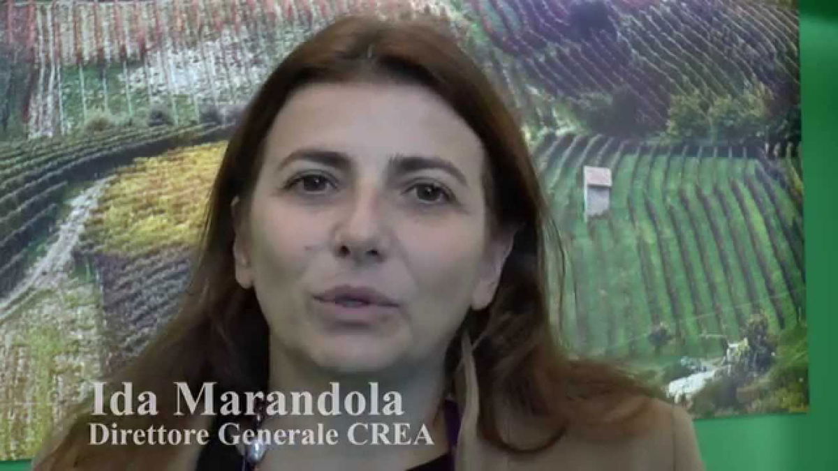 Ida Marandola: arrestata la direttrice generale del Consiglio per l’Agricoltura article-post