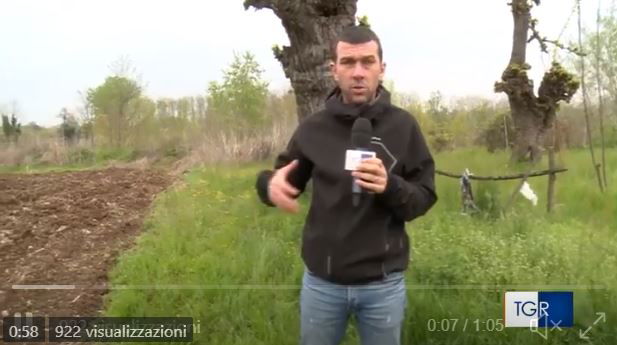 Le gomme tagliate al giornalista RAI Matteo Mohorovicich article-post
