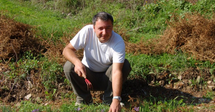 dario tamburrano lombricolage assessore - 5
