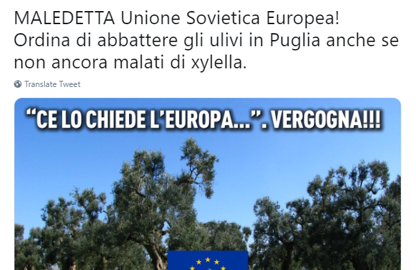 xylella salvini unione sovietica europea - 6