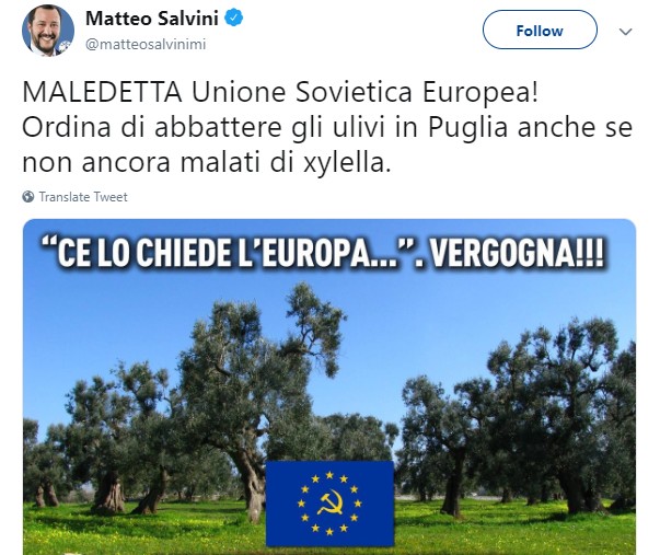 Quando Salvini non voleva abbattere gli ulivi malati di Xylella “perché ce lo chiedeva l’UE” article-post