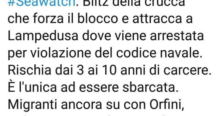 anna mazzone insulti carola rackete parlamentari pd