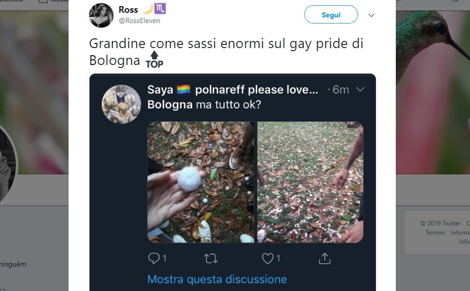 La poraccitudine degli omofobi che gioiscono per la grandine al Gay Pride di Bologna article-post
