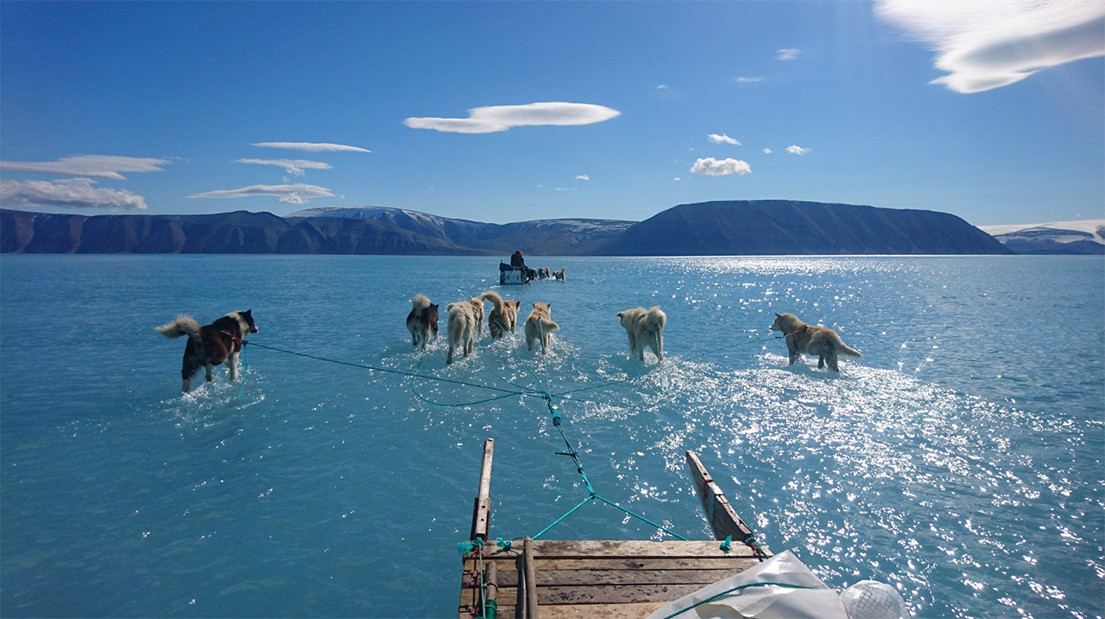 Chi sono i veri gretini ora che i cani “corrono” sull’acqua in Groenlandia? article-post