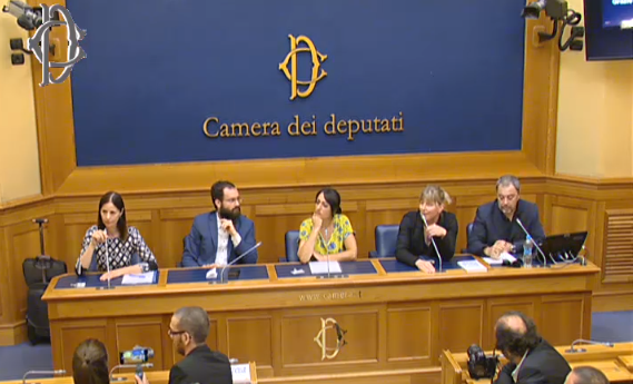 Il deputato M5S e la rissa con Corvelva e Loretta Bolgan sul Viagra nei vaccini preview