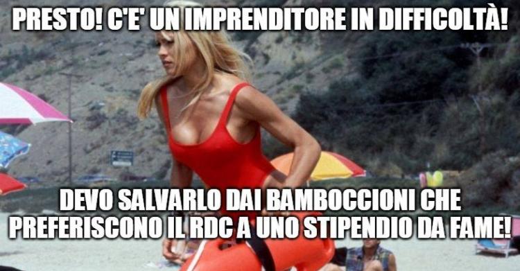 reddito di cittadinanza jesolo lavoro - 1