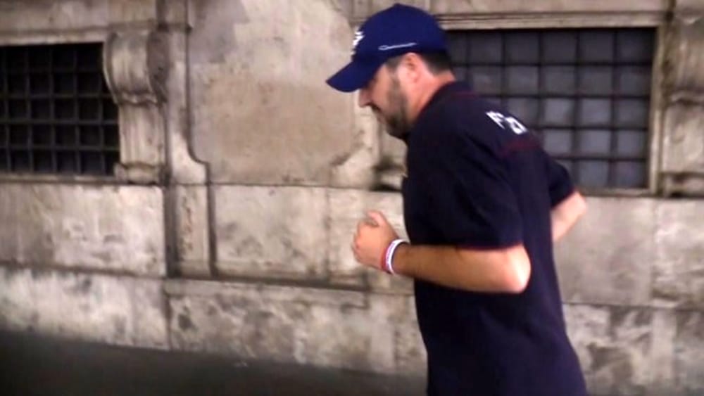 Salvini è mobile, qual piuma al vento article-post