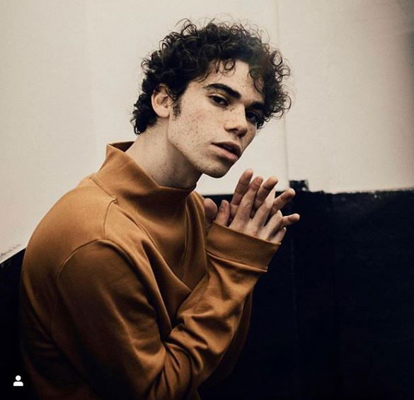 Cameron Boyce: la morte a 20 anni della star Disney article-post