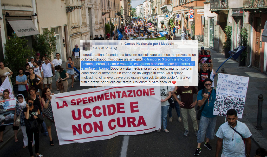 L’animalista che non va al corteo per i macachi perché si sta curando (con i farmaci testati sugli animali) article-post