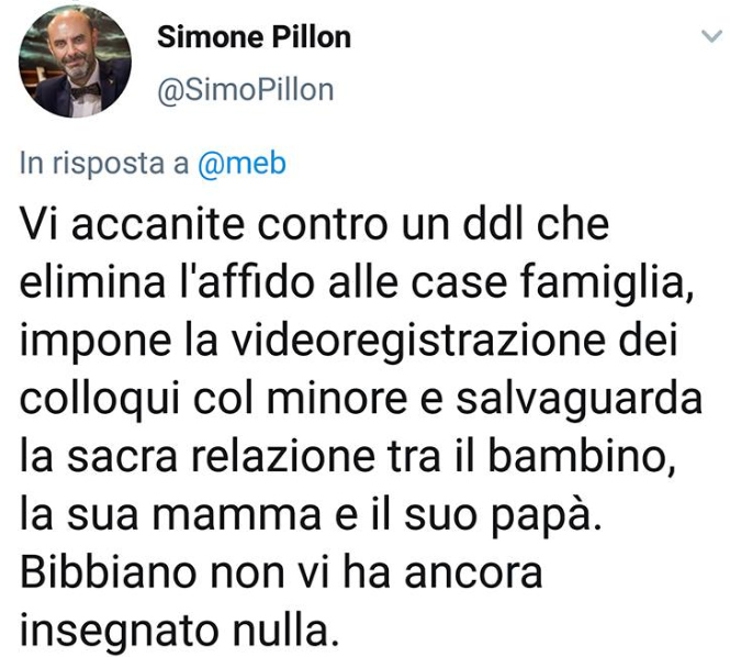 salvini bibbiano ddl pillon - 3