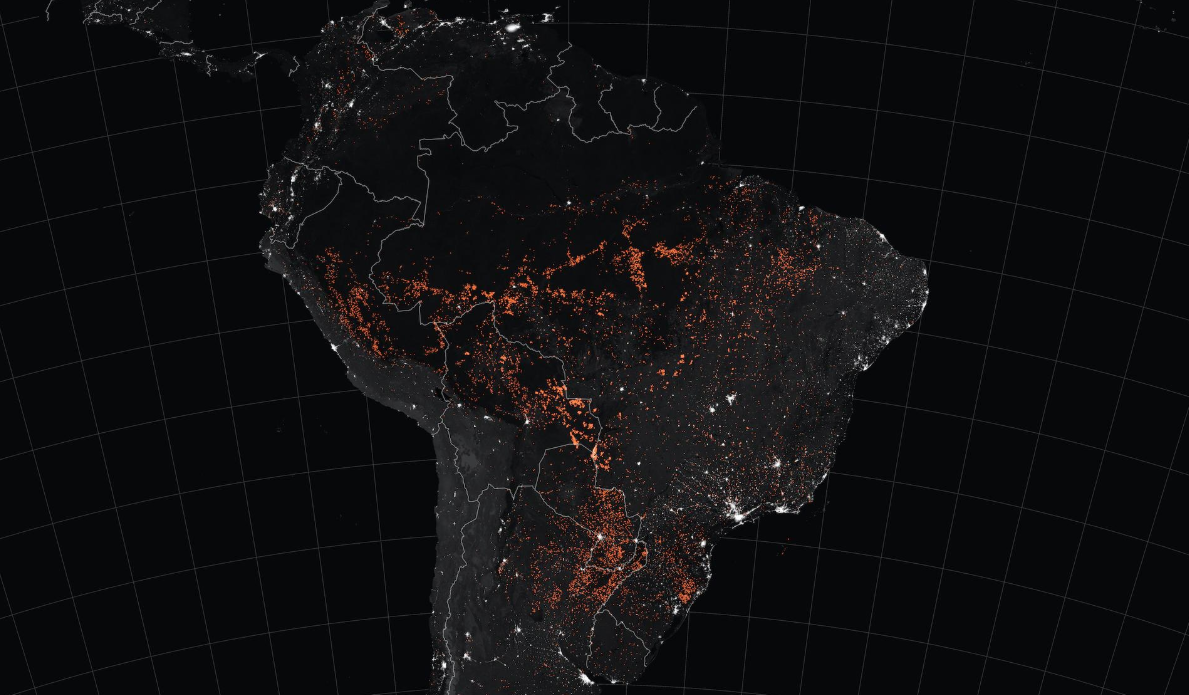 Tutte le bufale sull’Amazzonia in fiamme (e cosa possiamo fare nel nostro piccolo) article-post