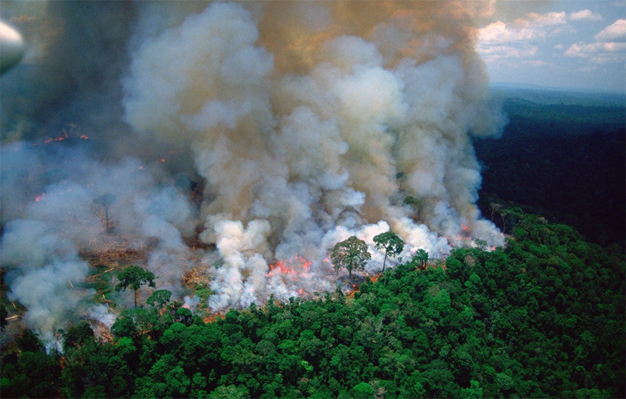 amazzonia incendi foresta amazzonica - 3