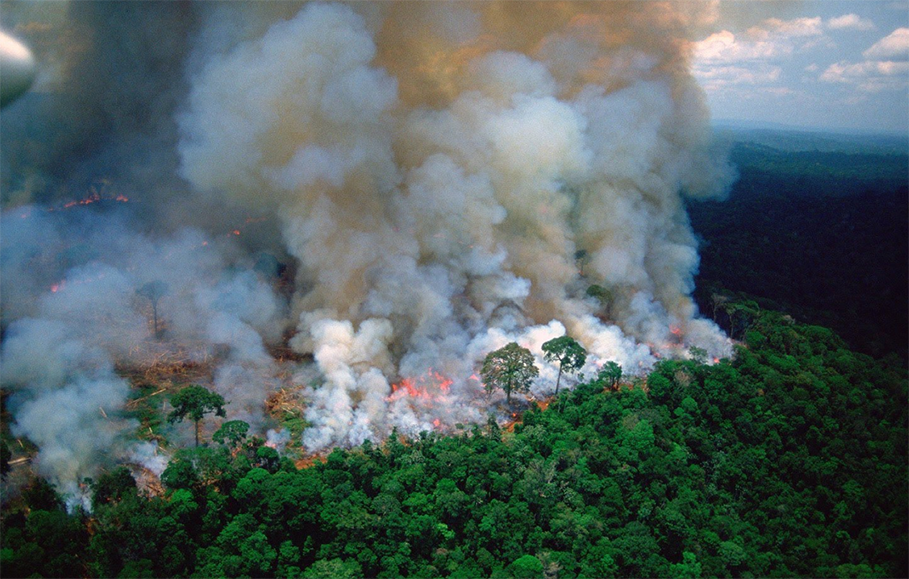 L’Amazzonia che scompare a causa degli incendi article-post