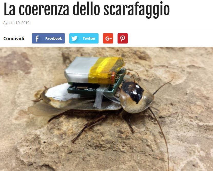 Beppe Grillo torna sempre sul luogo del delitto article-post