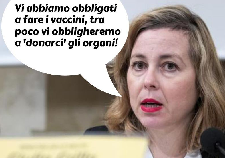 Silenzio assenso sulla donazione degli organi: il complotto di Giulia Grillo che ci vuole rubare le interiora article-post