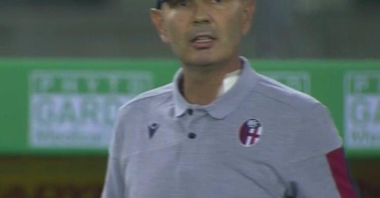 mihajlovic