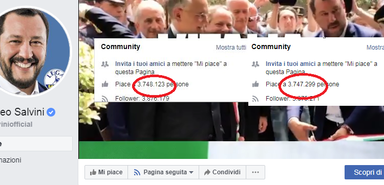 salvini fans
