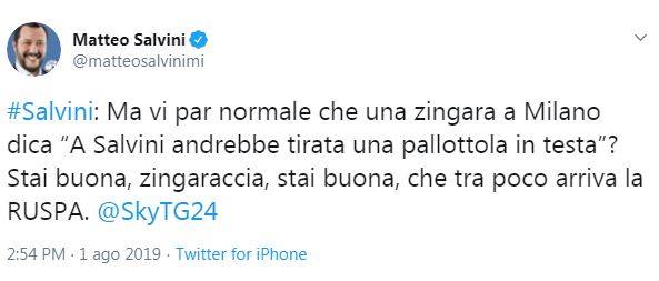 salvini zingaraccia