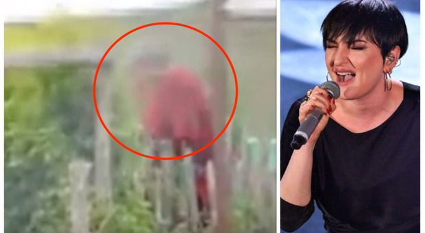 Assunta Santarsiero: la madre di Arisa e l’accusa di essere una falsa invalida article-post