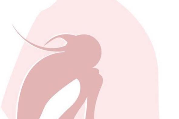 cavallo rosa abusi equitazione
