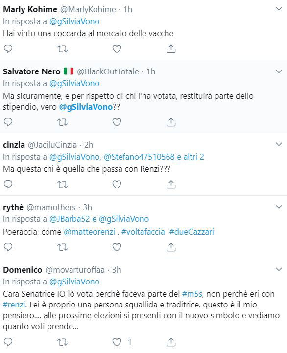 gelsomina silvia vono 4