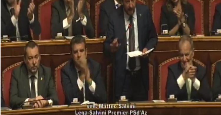 salvini senato