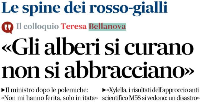 article-post
