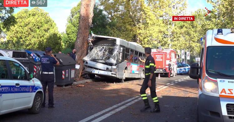 bus 223 albero roma 1