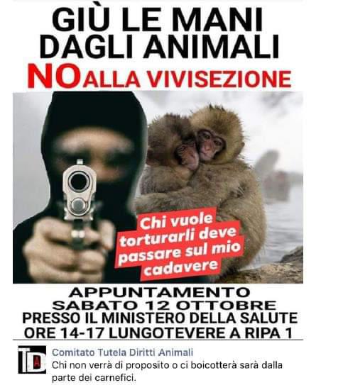 La sperimentazione animale e la disinformazione che rende ciechi article-post