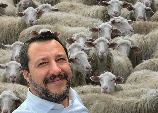 I pastori sardi fregati da Salvini si preparano ad una nuova protesta article-post