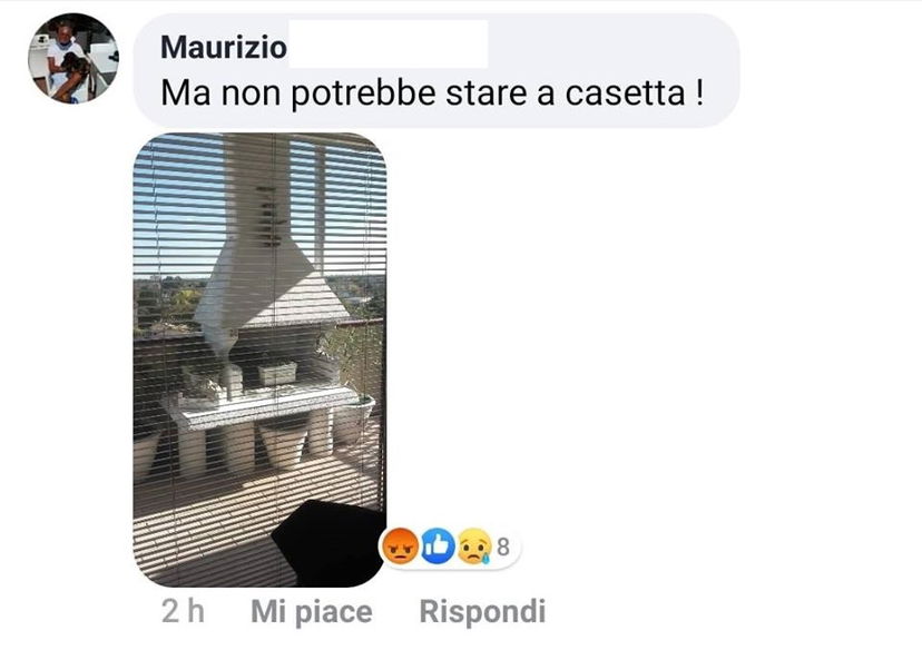 Il post su Liliana Segre che deve stare «a casetta» preview