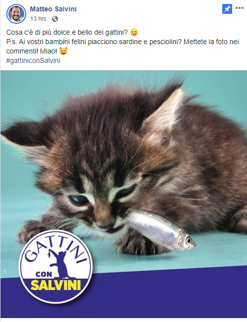 salvini sardine gattini -1