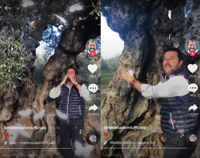 Come Salvini concupisce i ragazzini su TikTok preview