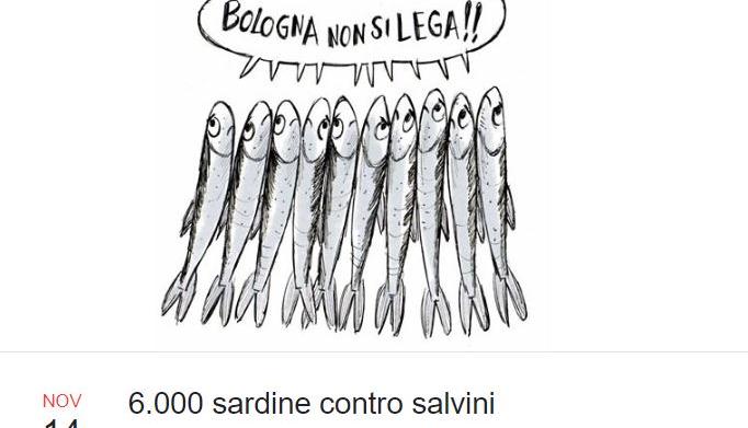 sardine salvini bologna