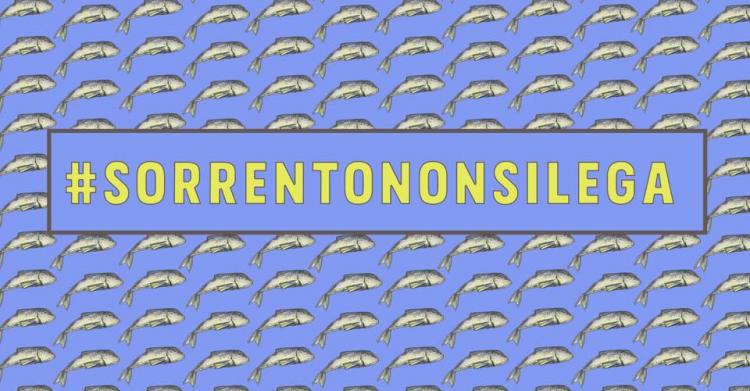 sardine salvini sorrento