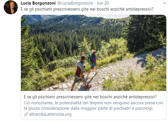 borgonzoni gite nei boschi - 1