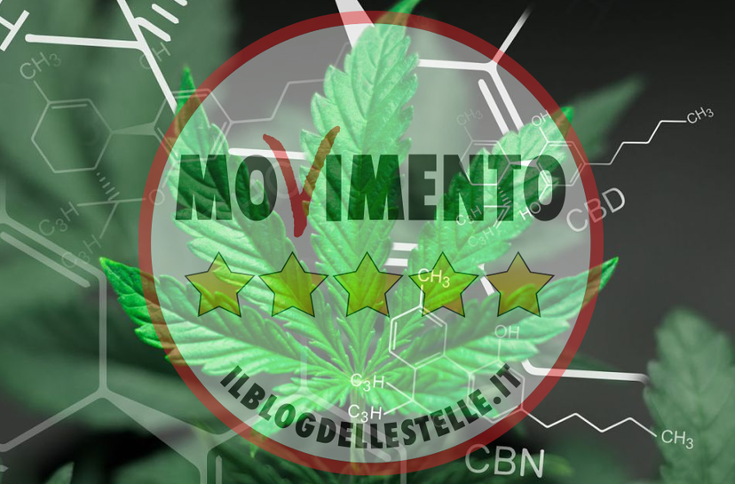 Come il MoVimento 5 Stelle ha fatto saltare l’emendamento sulla Cannabis Light per paura di Salvini preview