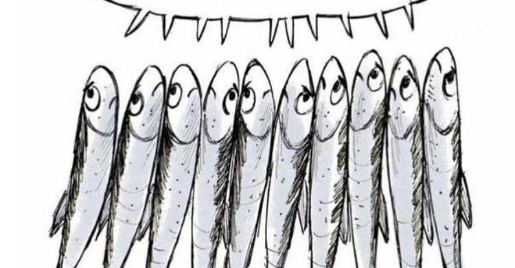salvini sardine ferrara 1ù