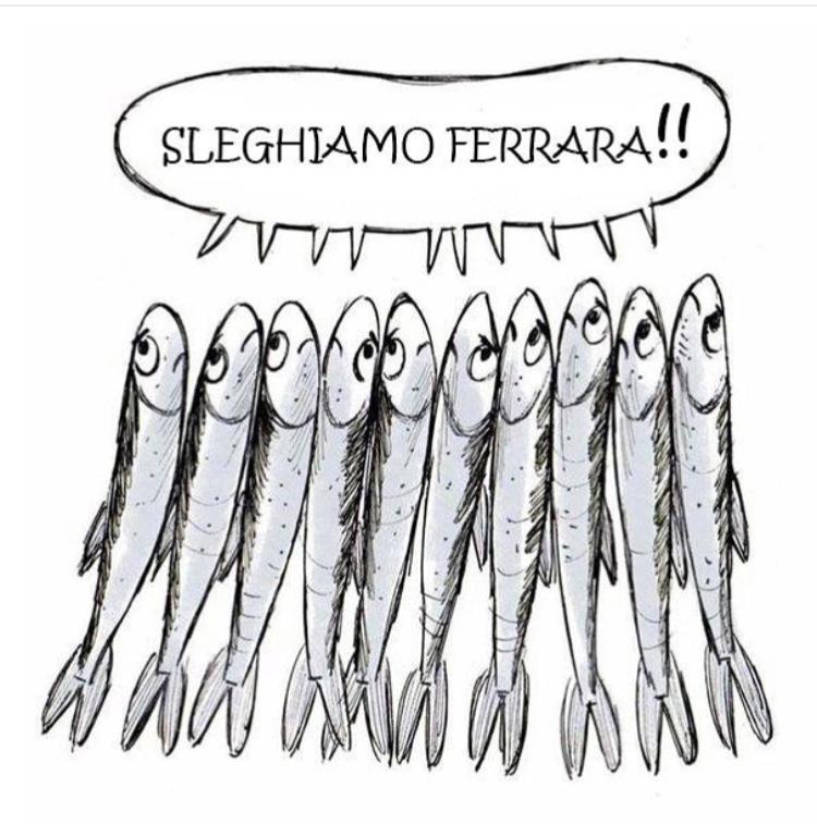 salvini sardine ferrara 1ù
