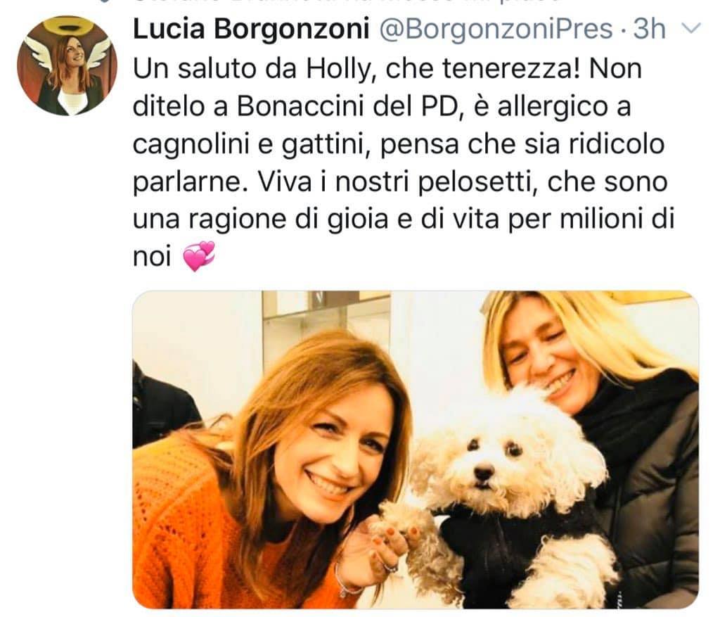 borgonzoni cagnolini bonaccini