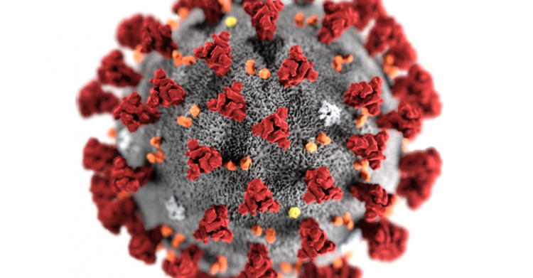 vaccino influenza bambini sotto 6 anni notizie vaccino coronavirus olbia