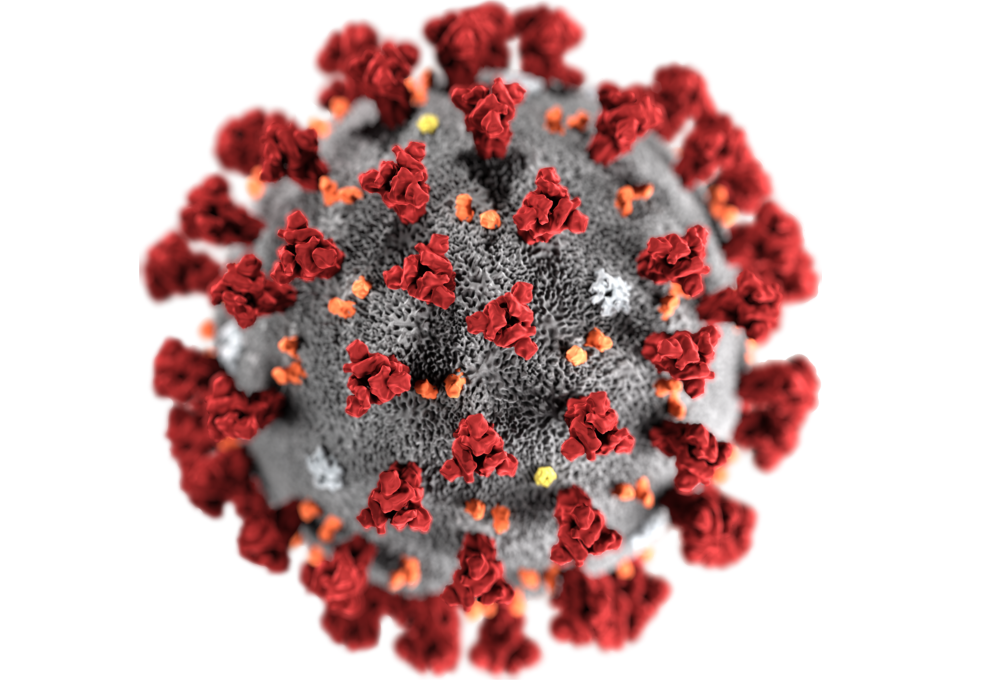 vaccino influenza coronavirus - 5