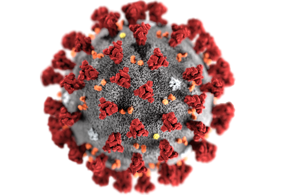 vaccino influenza bambini sotto 6 anni notizie vaccino coronavirus olbia