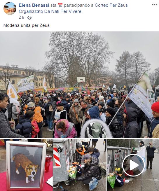 La manifestazione per il cane Zeus morto di botte a Modena