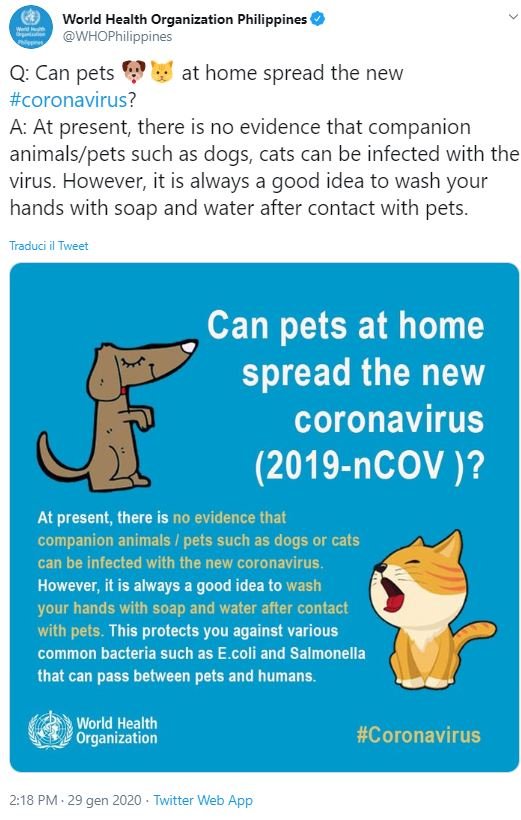 cani e gatti uccisi coronavirus