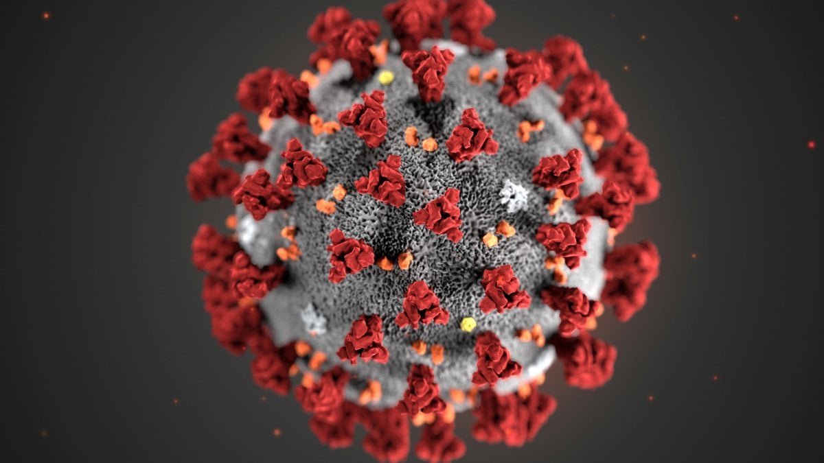 pelle coronavirus immagine del virus