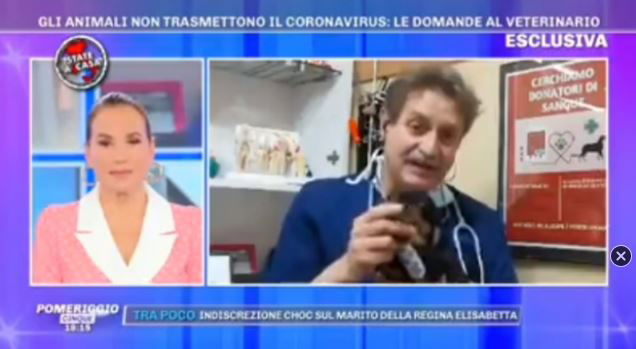 enrico zibellini zampe cani candeggina